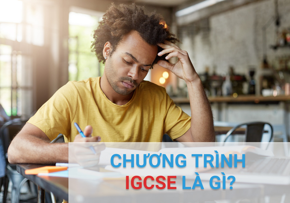 What is the IGCSE program?